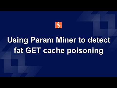Param Miner演示视频