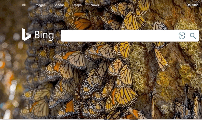 Cerca per indirizzo IP con Bing