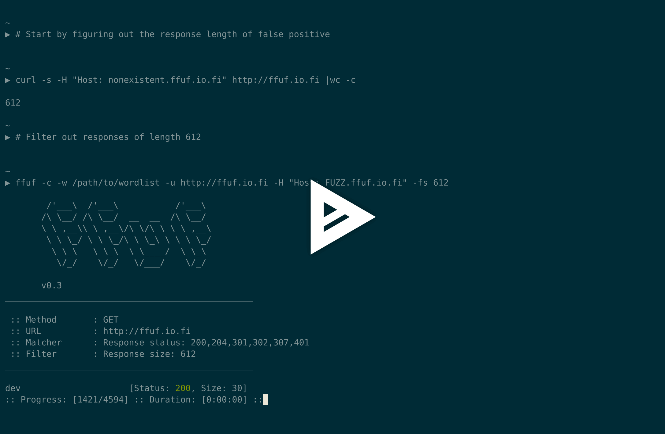 asciicast
