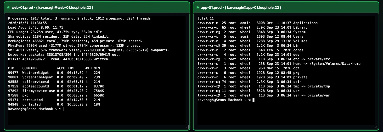 Two live terminals showing process information and a directory listing
