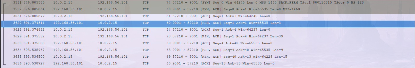Reverse Shell Traffic
