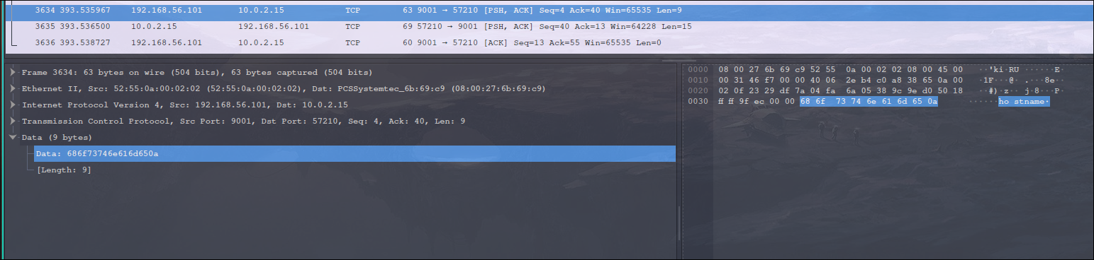 Shell: hostname