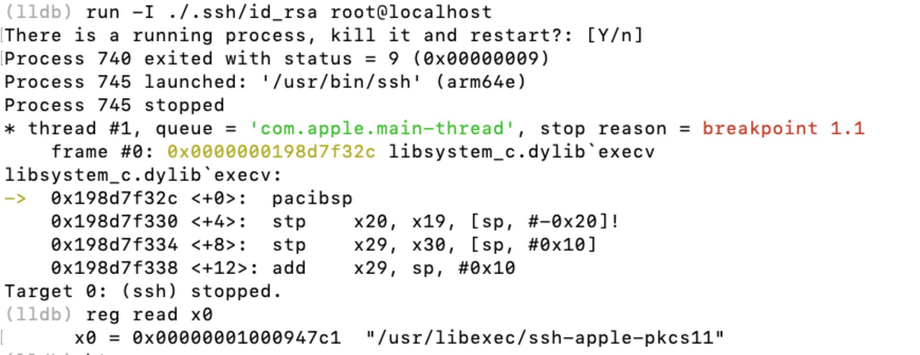 Chiamata a execv nel binario ssh con patch