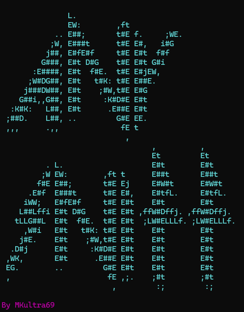 WindowsTerminal_EXgGPGWIwz_transparent