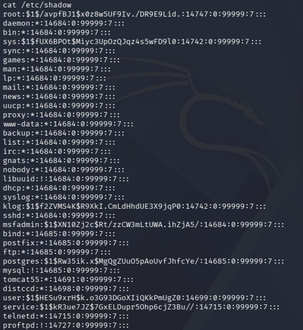 Aus /etc/shadow extrahierte Passwort-Hashes