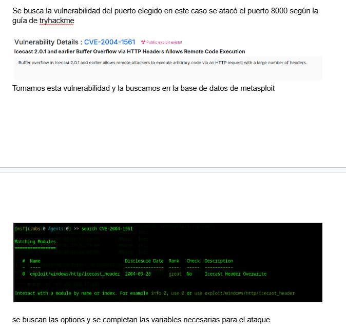 Metasploit での CVE 検索