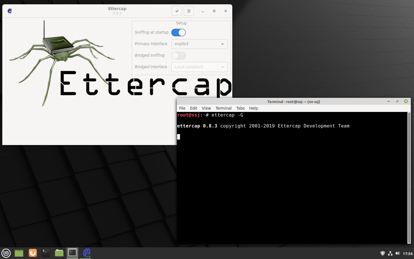 Mint Ettercap
