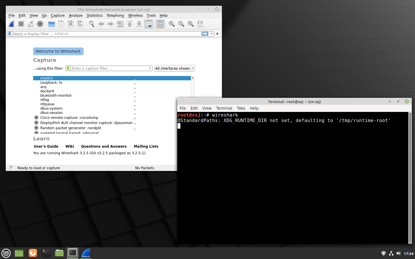 Mint Wireshark