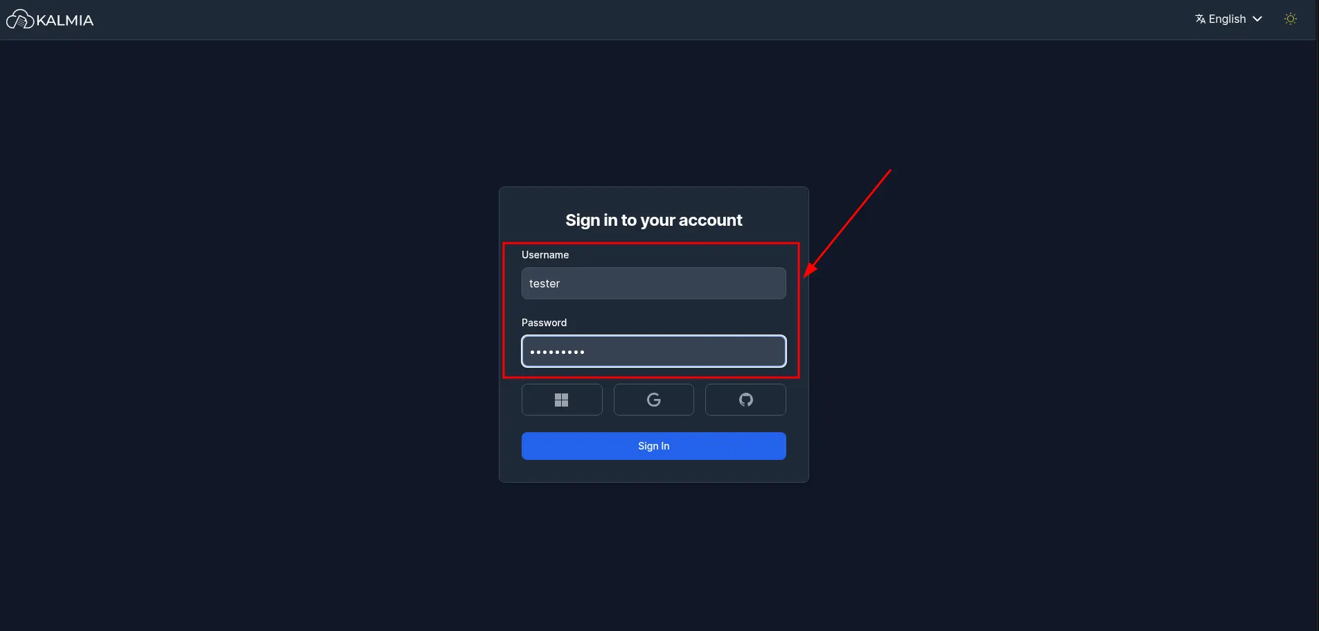 Login Process