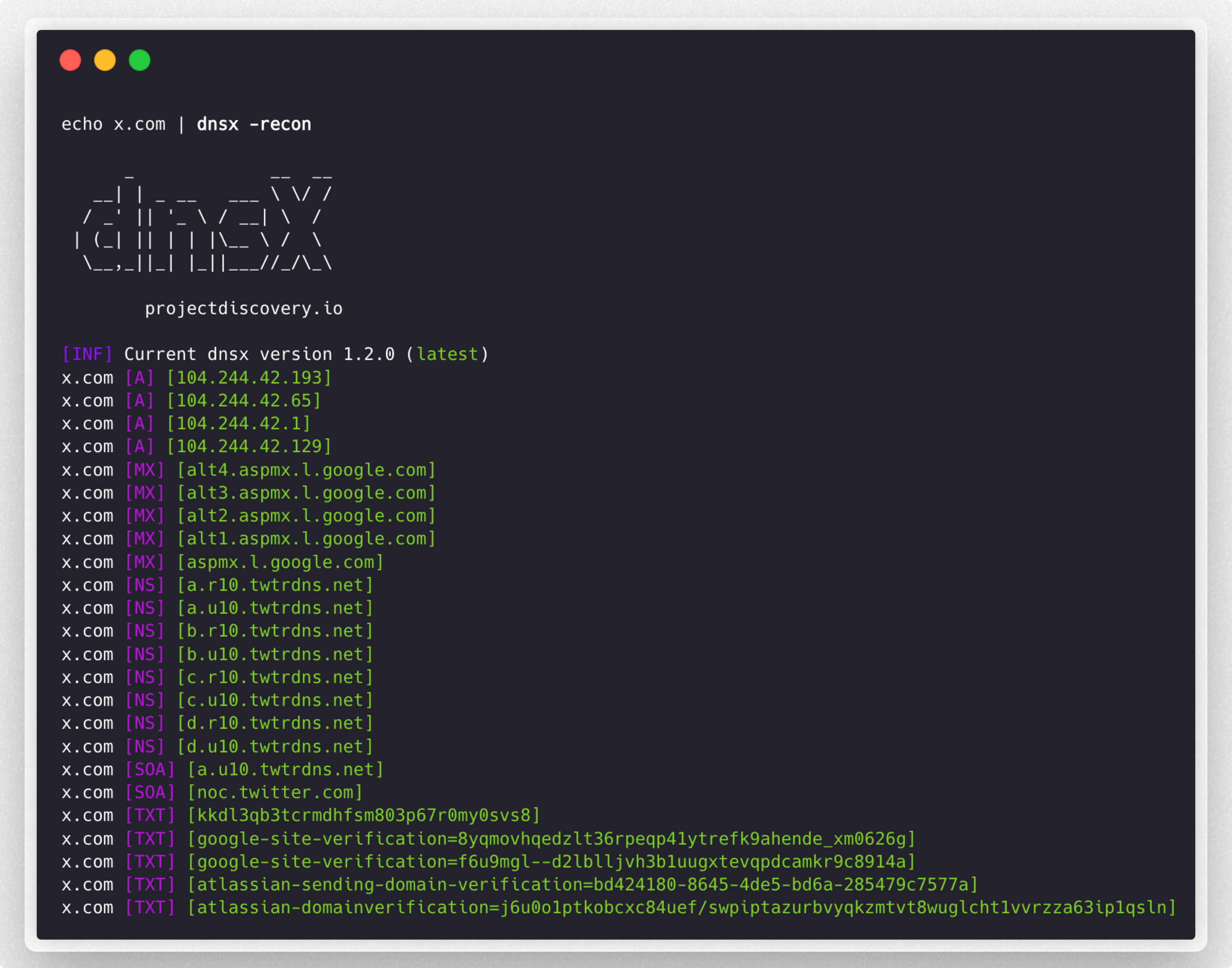 dnsx