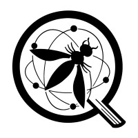 OWASP Quantum Security Project logo