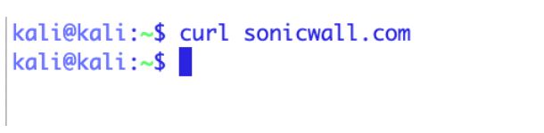 Ein einzelner curl-Befehl, der die Netzwerkgrenze überschreitet