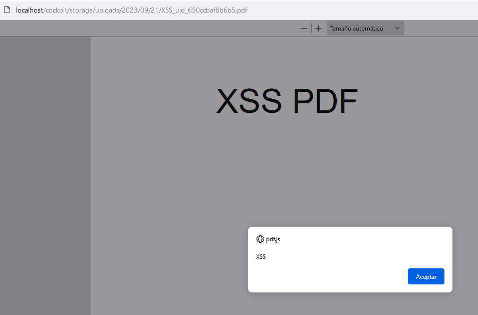 XSS-Ergebnis