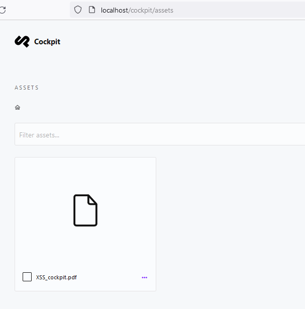 PDF unter Assets hochladen