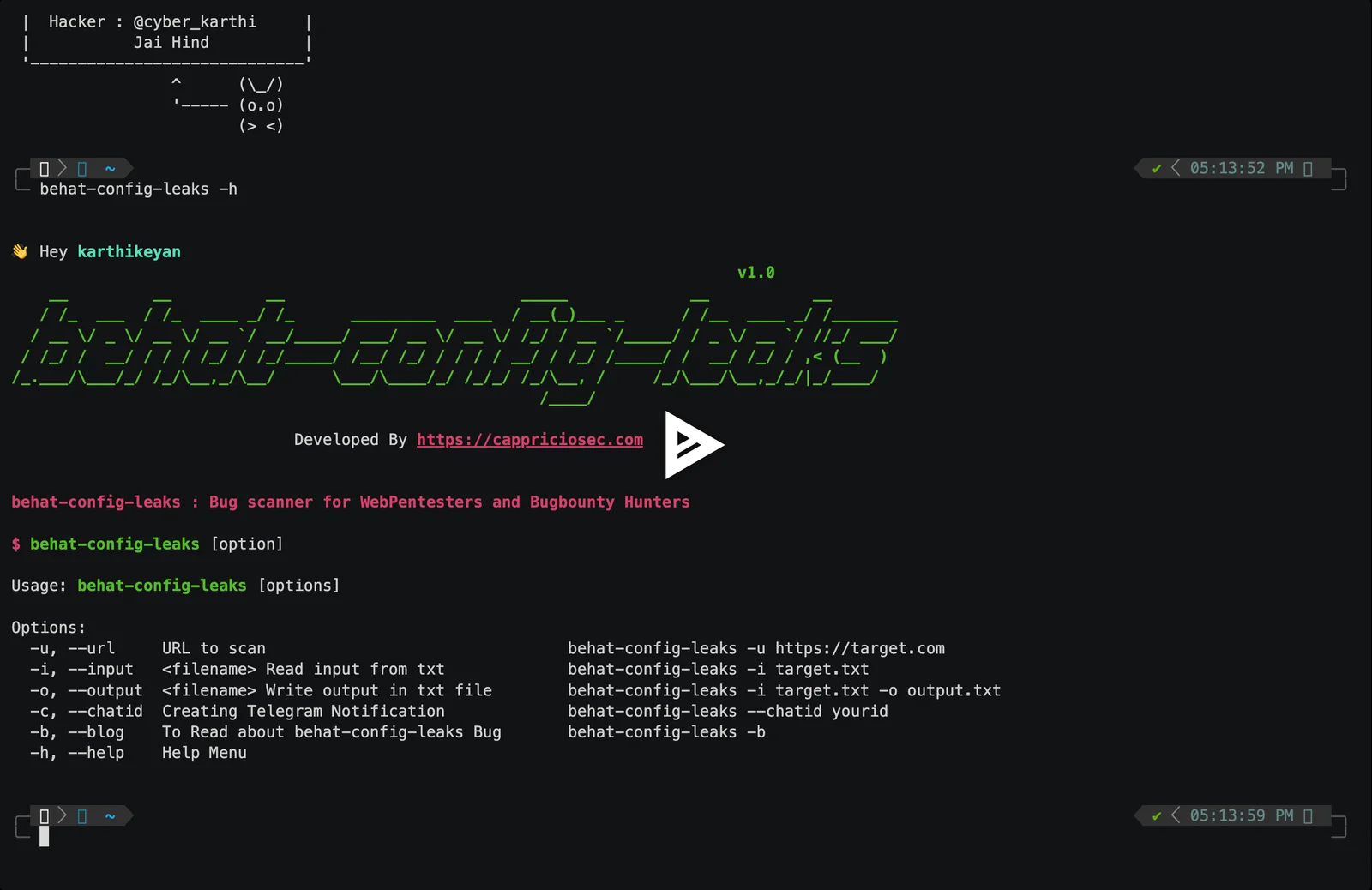 asciicast