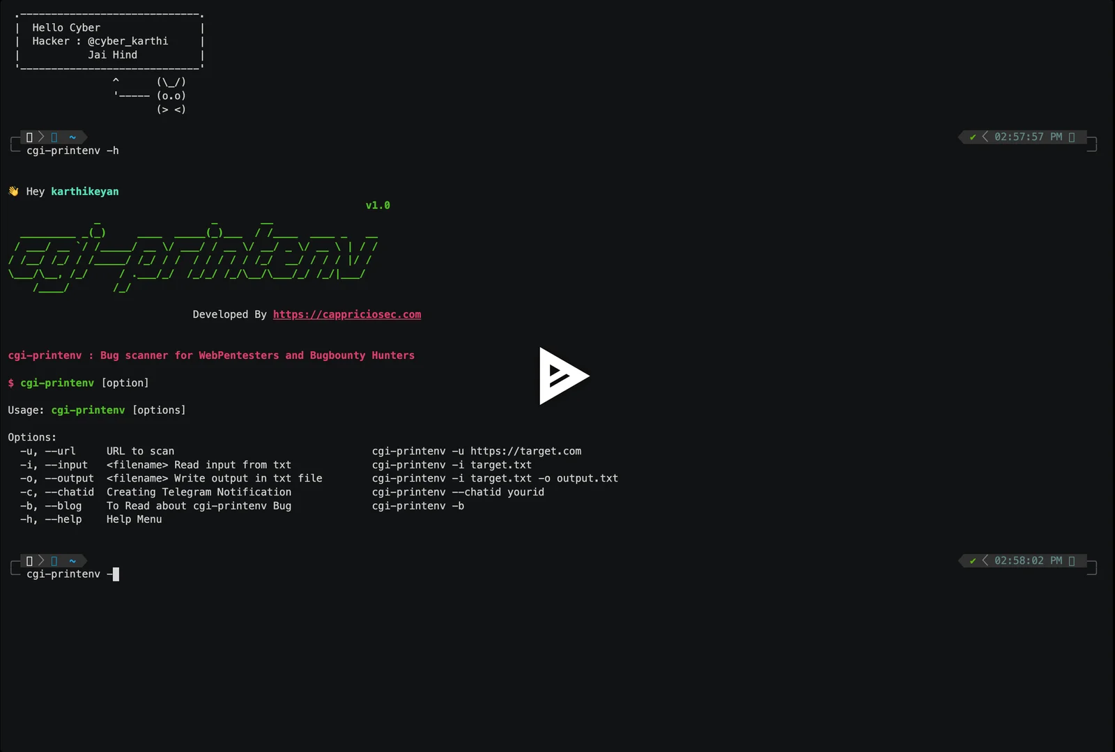 asciicast