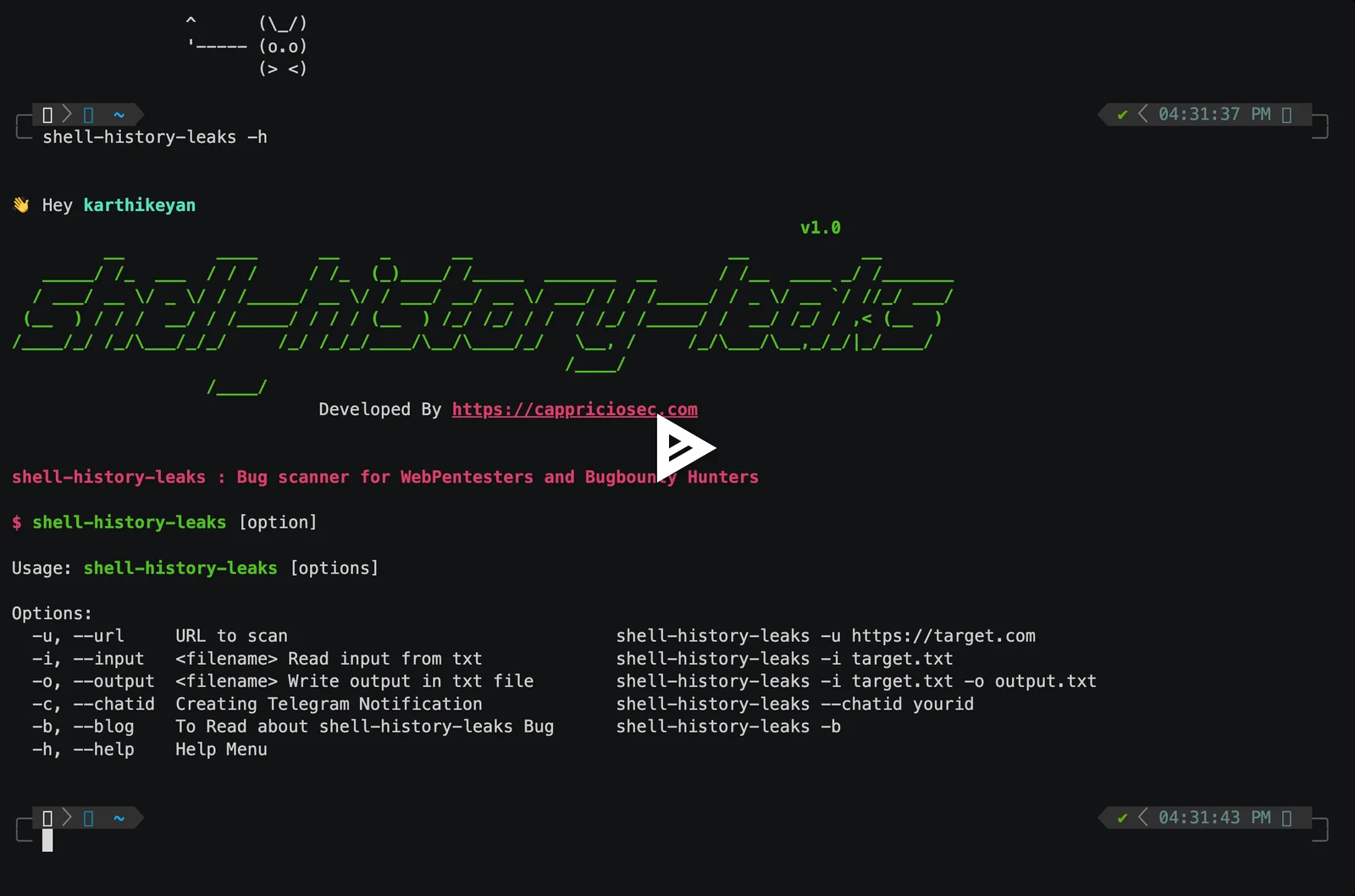 asciicast