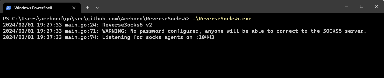 Example starting the server