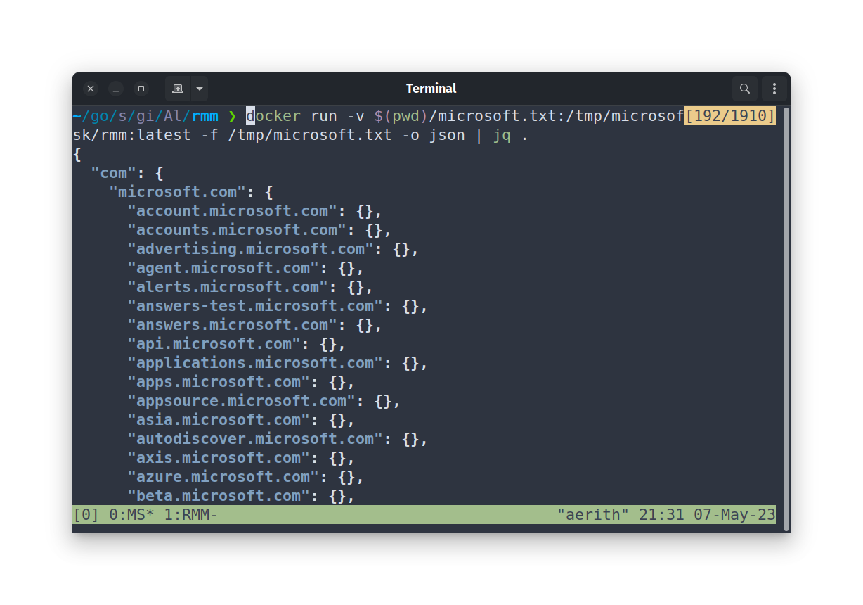 Docker 内での実行