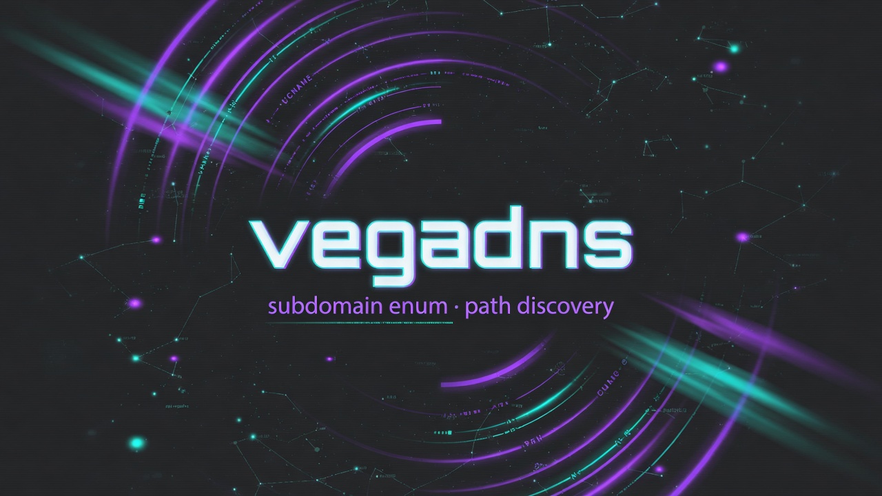vegadns - subdomain enum and path discovery