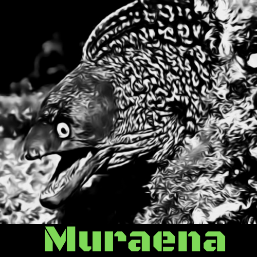 Muraena 标志