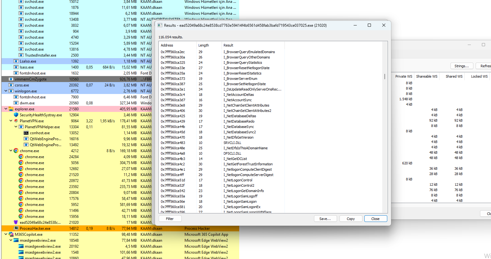 AcrStealer Browser- & Netzwerkdiebstahl