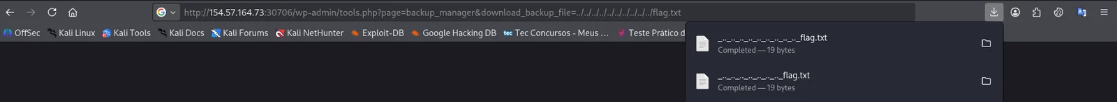 Path traversal payload in browser, flag.txt downloaded