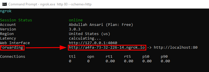 URL del túnel de Ngrok