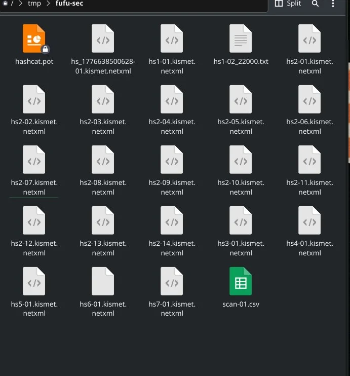 Captured files view