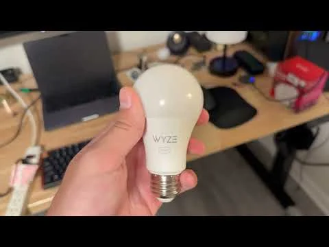 Video demo