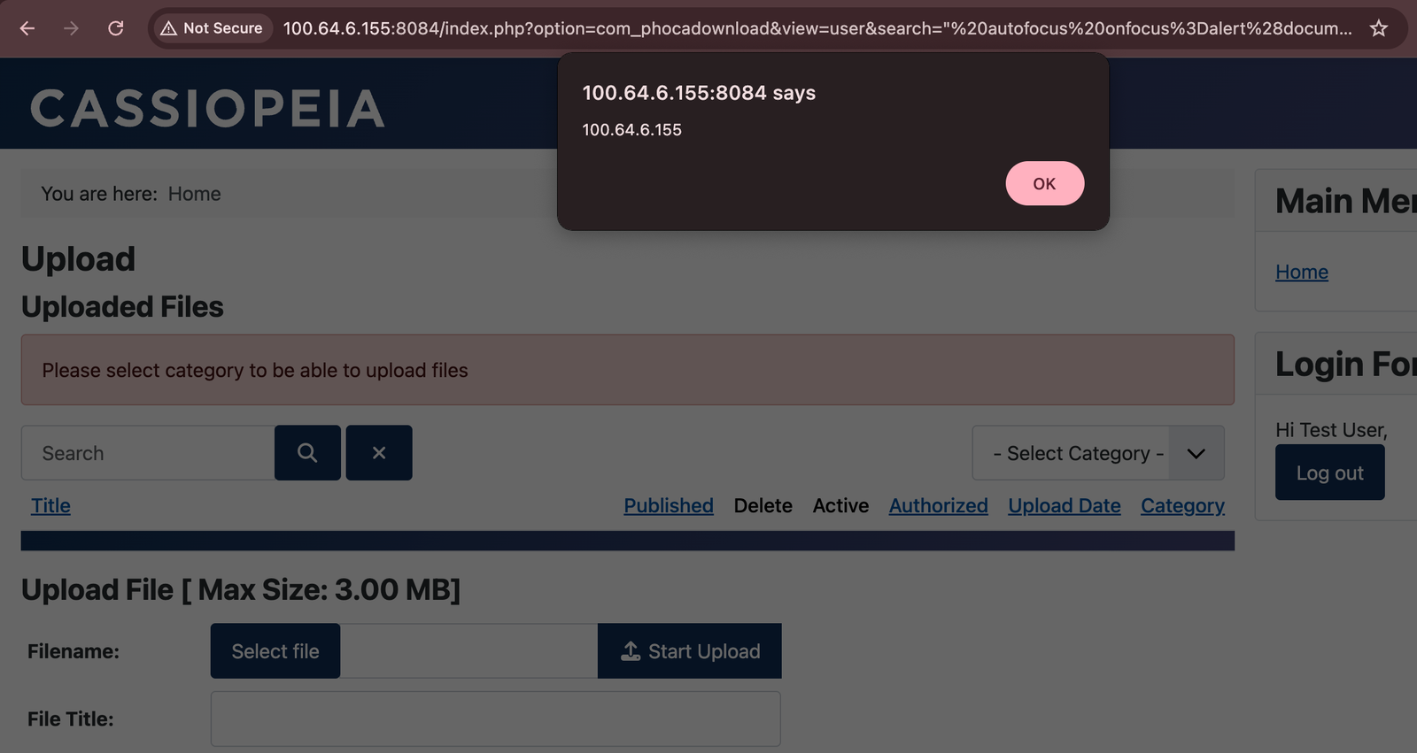 XSS 페이로드가 포함된 조작된 URL이 검색 매개변수에 제출됨