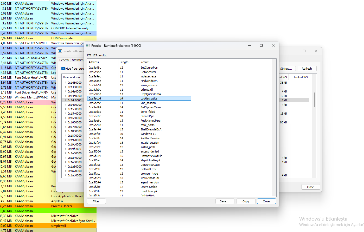 StealC Cookie Theft & System APIs