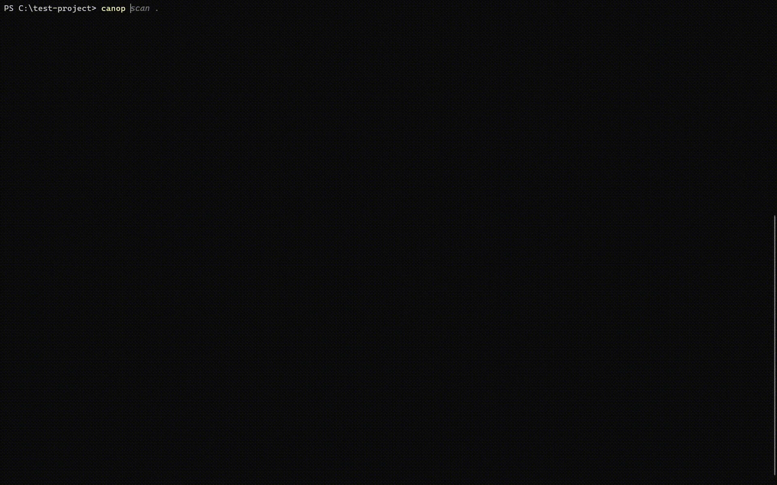 CanoP scanning a project