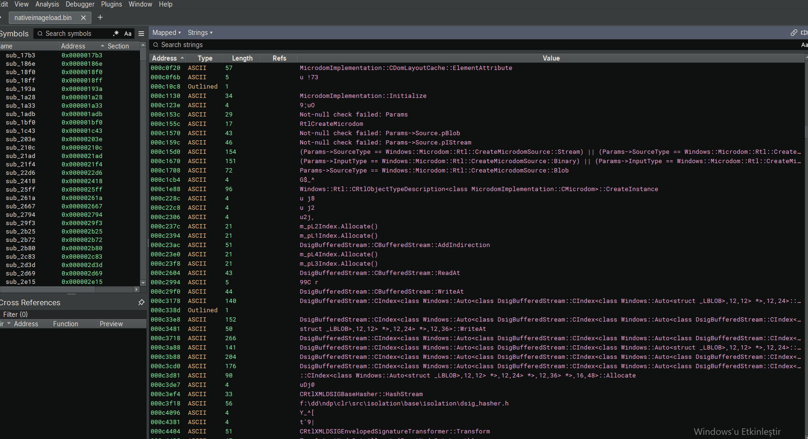 PureRAT DisableNativeImageLoad Code